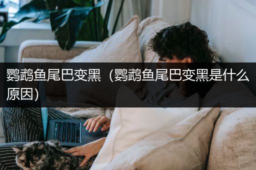 鹦鹉鱼尾巴变黑（鹦鹉鱼尾巴变黑是什么原因）